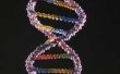 Hoe maak je een DNA Model uit kralen & rietjes