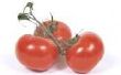 Hoe bewaart u tomaten