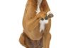 Hoe groot Is een volgroeide Boxer Hond?