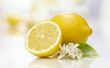 Houdbaarheid voor het opslaan van citroensap