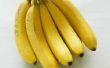 Procedures voor bananen rijpen
