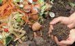 Het kiezen van Mulch voor plantaardige tuinen