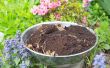 Hoe te gebruiken van de koffie gronden in de tuin