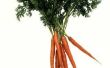 How to Grow wortelen met behulp van Aeroponics