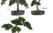 Hoe maak je kunstmatige bonsaibomen
