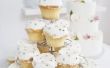 Cupcakes decoreren ideeën voor botterroom Frosted