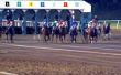 Hoe Bereken snelheid cijfers voor paardenrennen