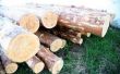 Hoe uw eigen Bevloering van het hardhout snijden van bomen