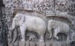 Mythes over olifanten