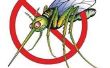 Hoe af te weren, muggen uit uw tuin op een begroting
