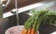 U wortelen Blanch alvorens ze in de Dehydrator?