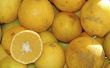 How to Plant Lemon zaden