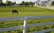 Hoe veel Land is wettelijk verplicht voor één paard in Michigan?
