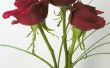Tips voor het maken van rozen gaan langer mee