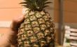 Hoe kook ananas Skins