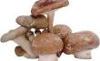 How to Grow Mushrooms in emmers