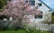 Hoe landschap een Cape Cod-huis