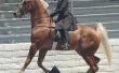 Het instellen van de graad in schoenen voor een rekken paard