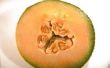 Kan Cross-Pollinate meloen met watermeloen?