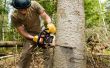 Hoe Open je een boom-Cutting-Service