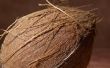 Kan de vloeistof in kokosnoten gaan slecht?