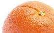 Wanneer om te oogsten Navel sinaasappels?