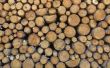 How to Sell pijnbomen voor hout