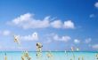 Bahama's stranden vs. Cancun stranden
