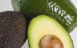 Hoe een Avocado zaad ontkiemen