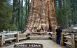 Sequoia National Park hutten