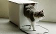 5 trucs van de genie voor het verbergen van uw kat strooisel vak