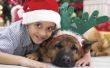 How to fase een kerst foto met kinderen en een hond