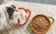 Dieet voor een Hyperthyroid kat