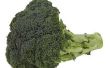 Wat Bugs worden gevonden in Broccoli?