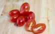 How to Grow Tomaten van de druiven in een Pot