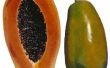 Hoe maak je een Papaya ananas Enzyme Mask