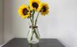 How to Care for gesneden zonnebloemen