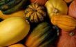 How to Cook carnaval Squash met appelmoes