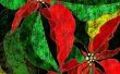 Mexicaanse Poinsettia Crafts for Kids