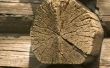 How to Build een houten schuur van cederbomen
