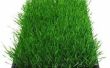 Ik ben aanplant graszaad met paddestoel Compost: heb ik nodig om toe te voegen bodem?
