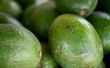 Hoe om te voorkomen dat avocado's snel rijpen