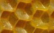 Hoe te maken van bijenwas