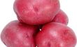 How to Cook rode aardappelen in een Oven koekenpan