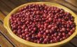 Hoe te genezen van een UTI met Cranberry sap