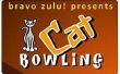 Hoe te spelen kat Bowling