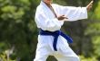 Wat Is ATA Taekwondo?