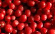 Hoe droge verse Cranberries