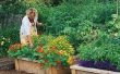 How to Build verhoogde plantaardige bedden