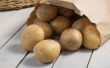 Hoe bewaart u aardappelen & uien thuis